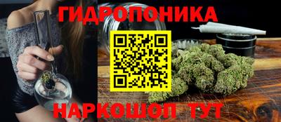 прущие грибы Мариинск