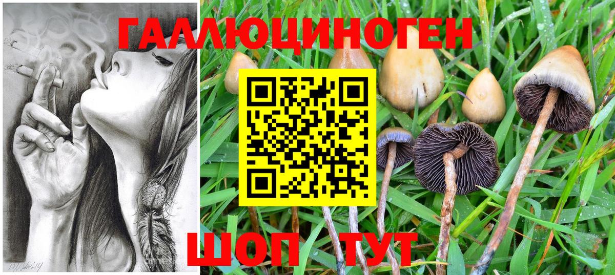 Шебекино  Псилоцибиновые грибы Magic Shrooms  Вход с VPN 